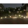 Декоративна гірлянда із сонячною панеллю Ретролампа SFK-13 Водонепроникні світлодіодні лампи-гірлянда