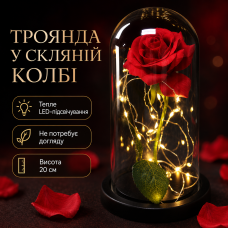 Троянда в колбі з LED-підсвіткою 20 см, Червона, на батарейках/Нічник Вічна троянда/Квітка в колбі
