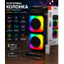 Беспроводная уличная большая колонка с проводным микрофоном, с функцией караоке и динамической RGB-подсветкой