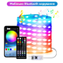 Вуличні вогні 10 м Smart Bluetooth App Control — світлодіодна LED гірлянда 100 LED, RGB, USB, IP65, музична