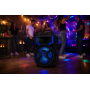 Портативная колонка Ailiang KOLAV-120E Bluetooth 12 дюймов 20 Вт