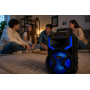 Портативная колонка Ailiang KOLAV-120E Bluetooth 12 дюймов 20 Вт