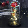 Троянда в скляній колбі LED RED GOLD з LED-підсвіткою Rose of Love Червона