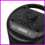 Портативная Bluetooth колонка 2х6.5​​​​​​​" с RGB подсветкой, микрофоном и пультом ДУ ZQS4248