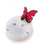 Декоративний нічник Метелик у банці Butterfly Інтерактивний пурхає метелик у банці з підсвіткою