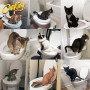 Система привчання котів до унітазу Туалет для кота Citi Kitty Cat Toilet Training