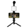 Комплект для влогінгу VIDEO-MAKING KIT AY49 для смартфона з перехідником Type-C • Набір блогера для телефону 4в1 AY-49