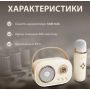 Акустична система «RETRO» з мікрофоном ∙ Бездротова портативна Bluetooth колонка на акумуляторі ∙ Міні-караоке