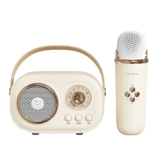 Акустична система «RETRO» з мікрофоном ∙ Бездротова портативна Bluetooth колонка на акумуляторі ∙ Міні-караоке