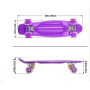 Пенні борд Penny board Дитяча скейт дошка з підсвіткою колес Fish Skateboards