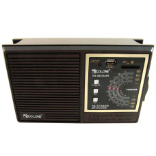 Портативный радиоприемник Golon RX-9933 с аккумулятором, USB, SD, FM радио