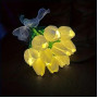 Нічник з тюльпанами KAR282 Flower Light • Декоративний LED світильник KAR282 букет тюльпанів на батарейках з теплим світлом