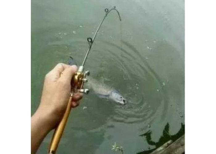 Вудка складана з котушкою та волосінню, телескопічна, Fishing rod in pen case, блешня, вудка ручка